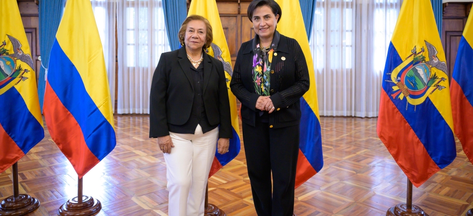 Canciller (e) Rosa Yolanda Villavicencio Mapy y su homóloga de Ecuador, Gabriela Sommerfeld, dialogan sobre asuntos estratégicos de interés común