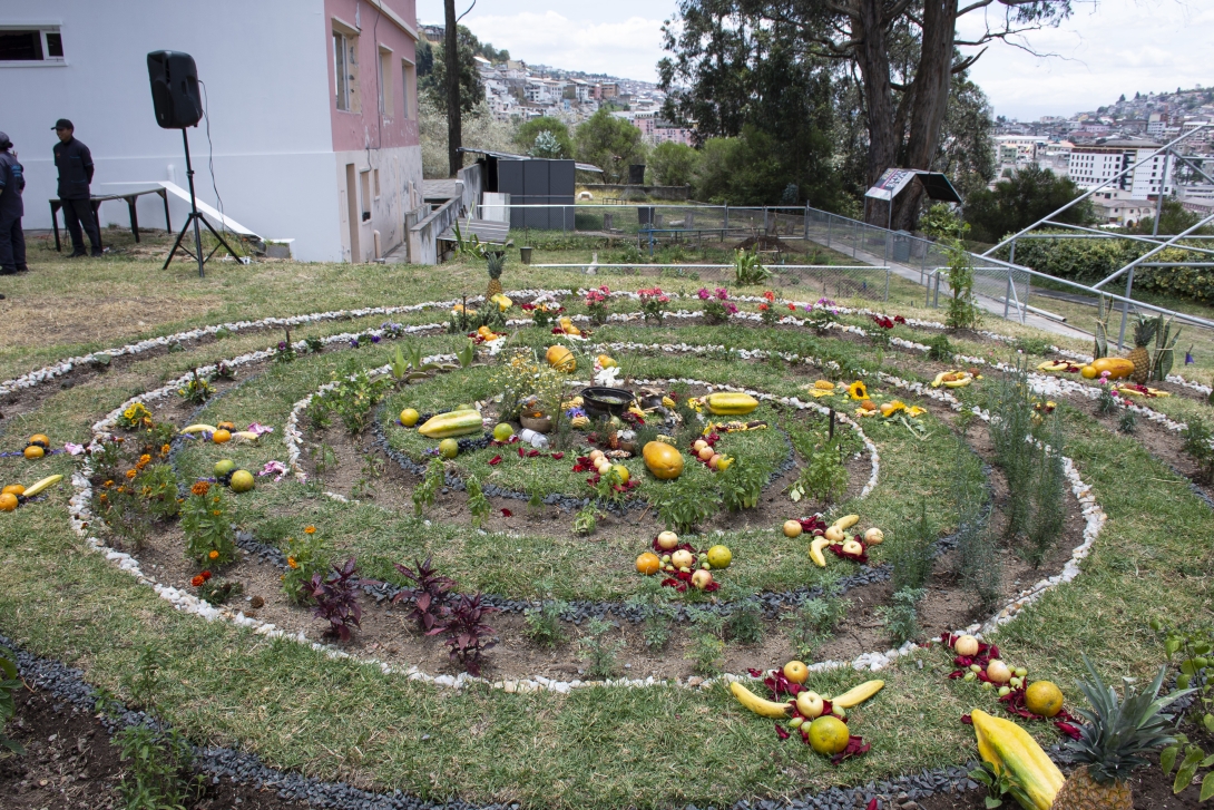 Embajada de Colombia en Ecuador realizó la “Cátedra Potencia de la Vida” Instalación de una Huerta: Fuente de conocimiento